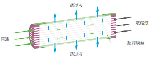 云顶集团·3118(中国)官方网站